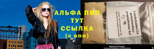 стаф Балахна