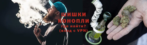 стаф Балахна