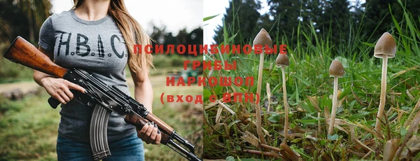 стаф Балахна
