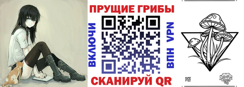 купить   Пенза  Псилоцибиновые грибы MAGIC MUSHROOMS 